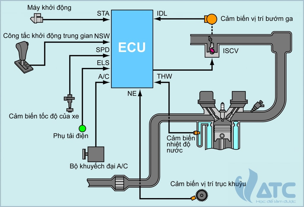 Hệ Thống Điều Khiển Tốc Độ Không Tải: Toàn bộ nguyên lý vận hành