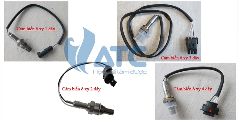 chi tiết cảm biến oxy