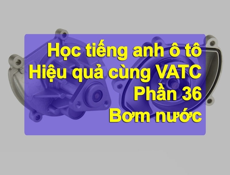 Từ vựng tiếng anh ô tô chi tiết bơm nước (Phần 36)