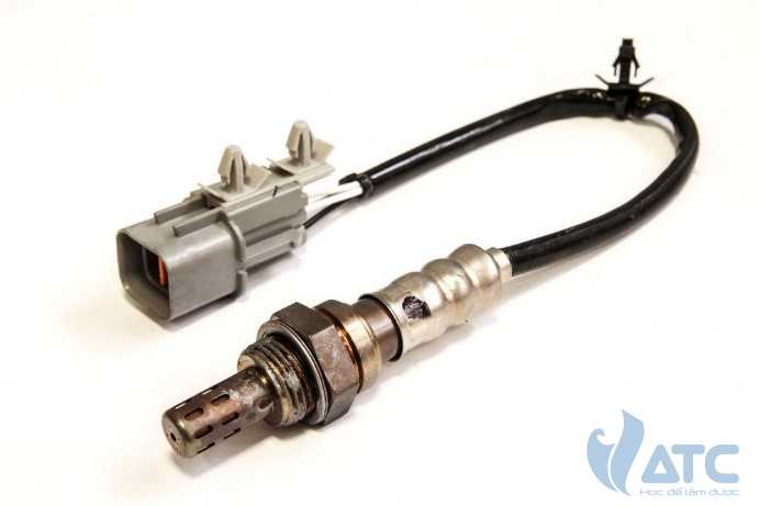 Kỹ Thuật Chẩn Đoán Cảm Biến Trong Hệ Thống Động Cơ [100% Thực Tế]