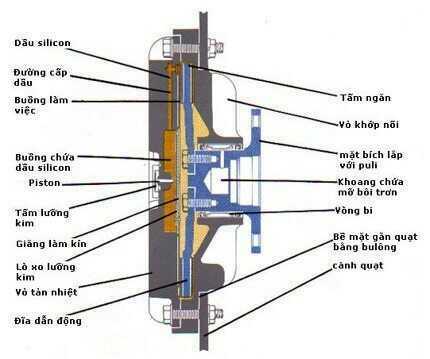 cấu tạo khớp chất lỏng