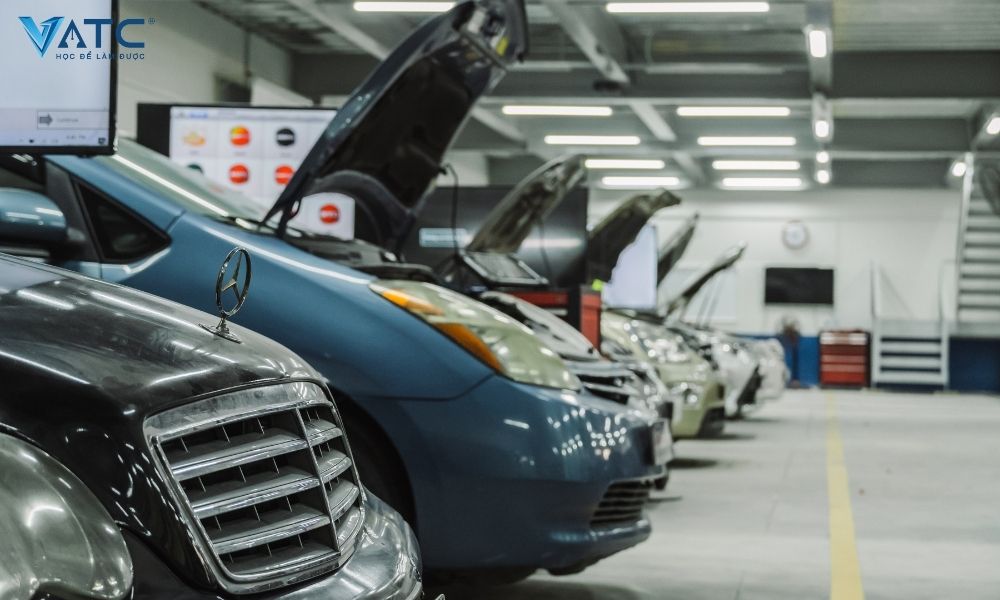 VATC sở hữu hơn 28 xe ô tô từ các hãng khác nhau