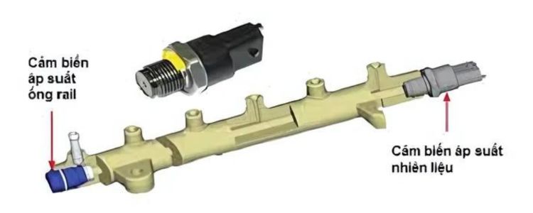 Cảm biến áp suất nhiên liệu