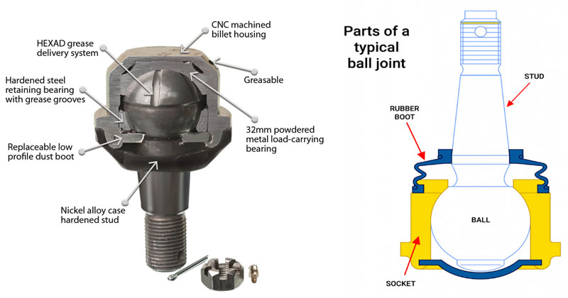 Hướng dẫn kiểm tra Rô-tuyn chi tiết nhất