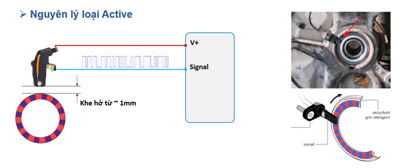nguyên lý loại active
