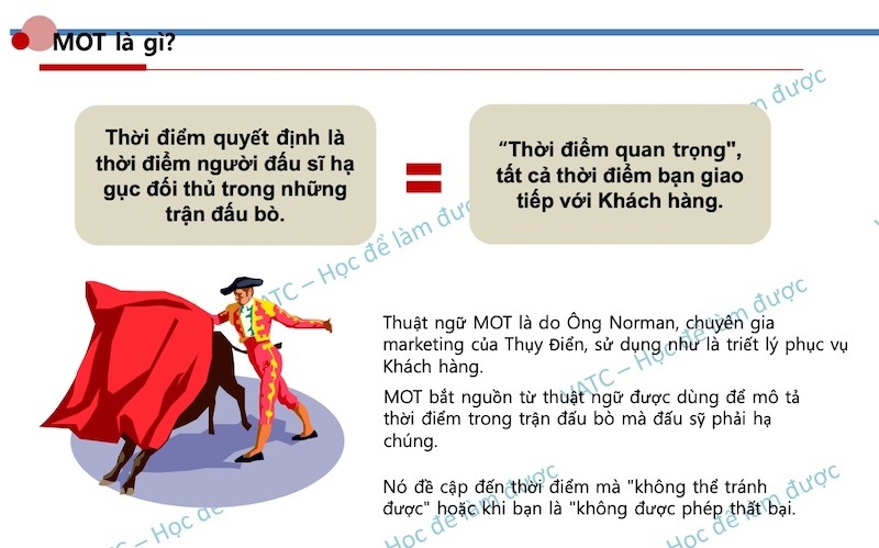 tài liệu vai trò của tư vấn dịch vụ vatc